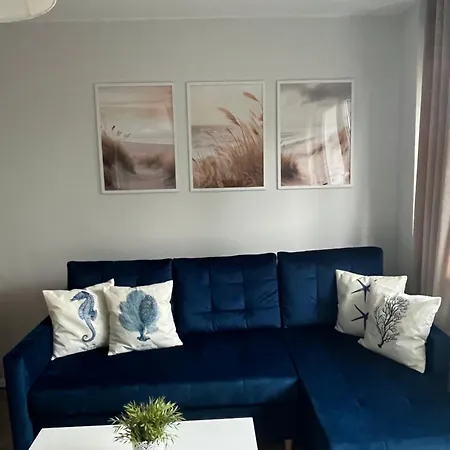 Apartament Kamelia *