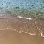 Kamelia * 소포트