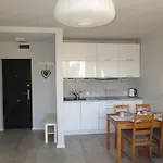 Kamelia 소포트