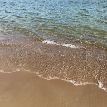 Kamelia * Sopot