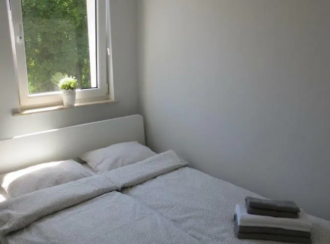 Apartament Kamelia *