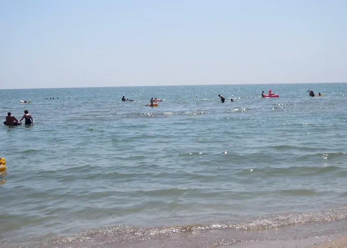 Apartament Kamelia Apartment